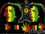 rasta