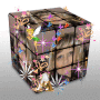 cube 