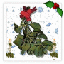 Mistletoe