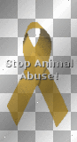Stop animal abuse