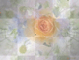 rosedream