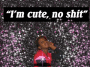 sdsd