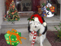 cody xmas
