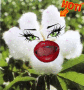 bitch cotton girl