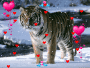 TIGRES