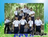 mmc.29