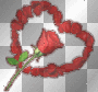 romantic rose