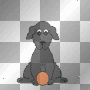 dog dog