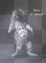 born to dance