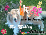 Bienvenue
