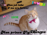 Mon prince Tigrou