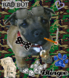 Lil' gangster Carlos