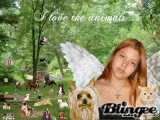 I love the animals