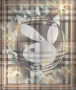 Playboybunny!