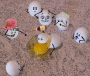 dead egg