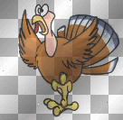 Running Turkey☆