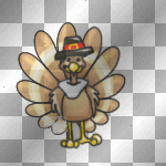 Shining Turkey☆