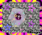 rainbow star flower