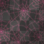 spider webs