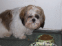 muffin 4 mom