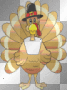 Pilgrim Turkey