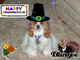 Maggie
