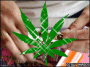 rolling a spliff