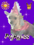 Glitter Graphics