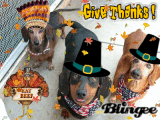 T-day