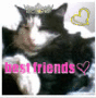 totalanimallover1