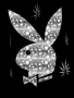 sanneke