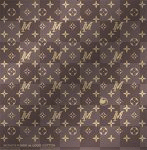louis vuitton louis vuitton