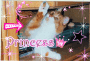 Princess 