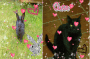my pets