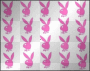 playboy bunnies