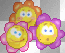 fleurs cool