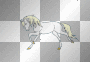 cheval galop