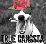 gangsta doggie