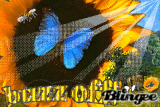 Buzz Off!