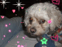 MI HIJA