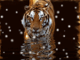 tigre