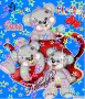 cute bear