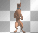 Go Scoob