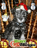 merry christmas from bruno