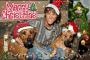 JareBear and the Doggies