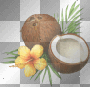 Noix de coco Noix de coco