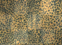 Lepard Skin
