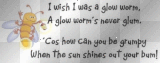 glow worm