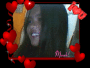 inlove