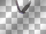 flying bird